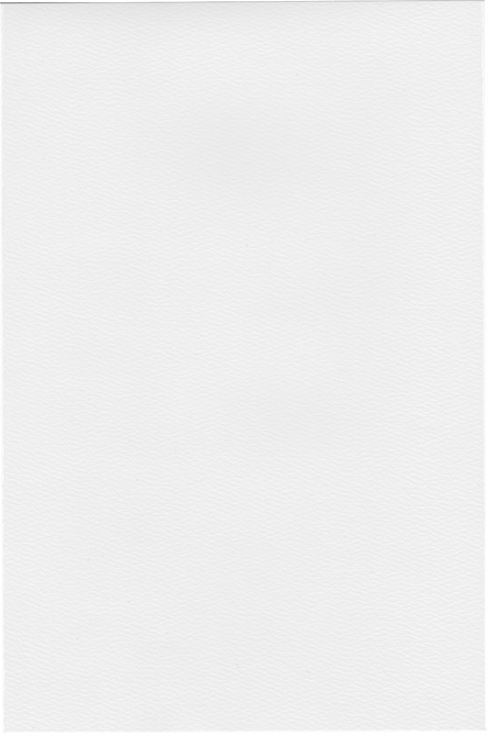 Paper Texture 